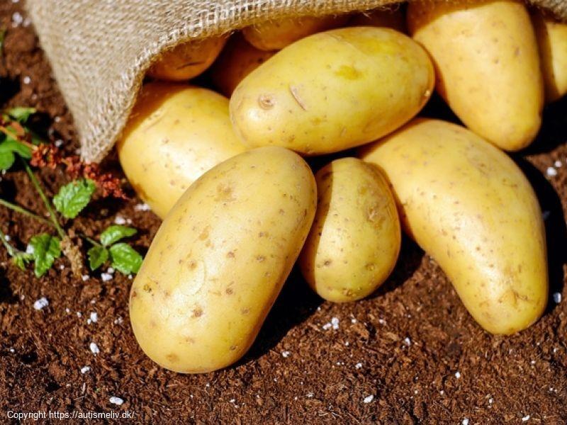 Kartofler
